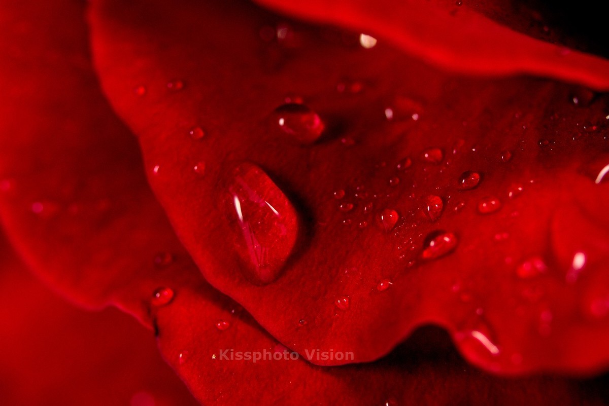 玩出微距新高度—美科MK-MT24閃光燈體驗