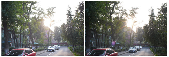 精細(xì)調(diào)焦與馥郁色彩 美科25mm f1.8鏡頭評測